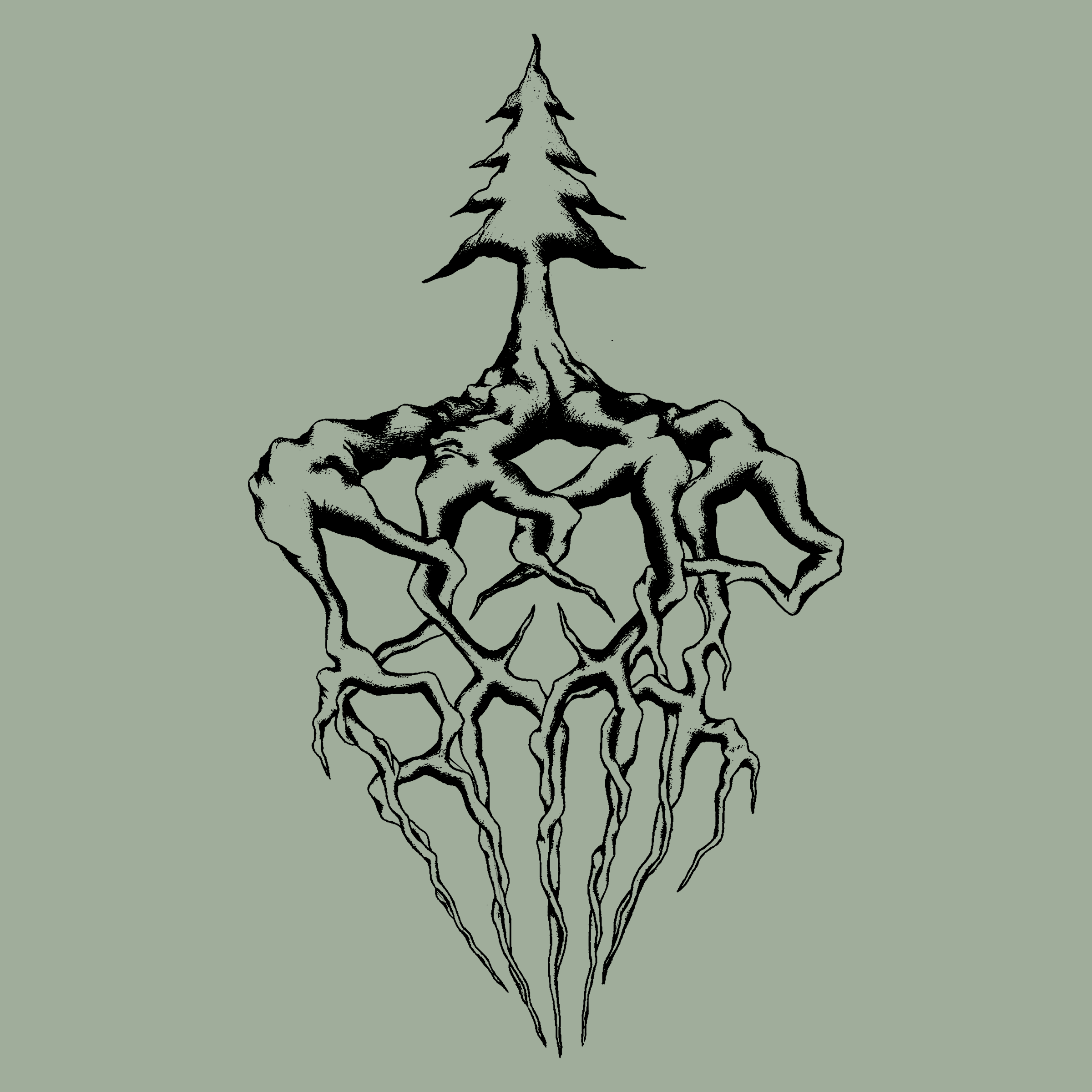 Deep Root