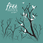 No One Is Free