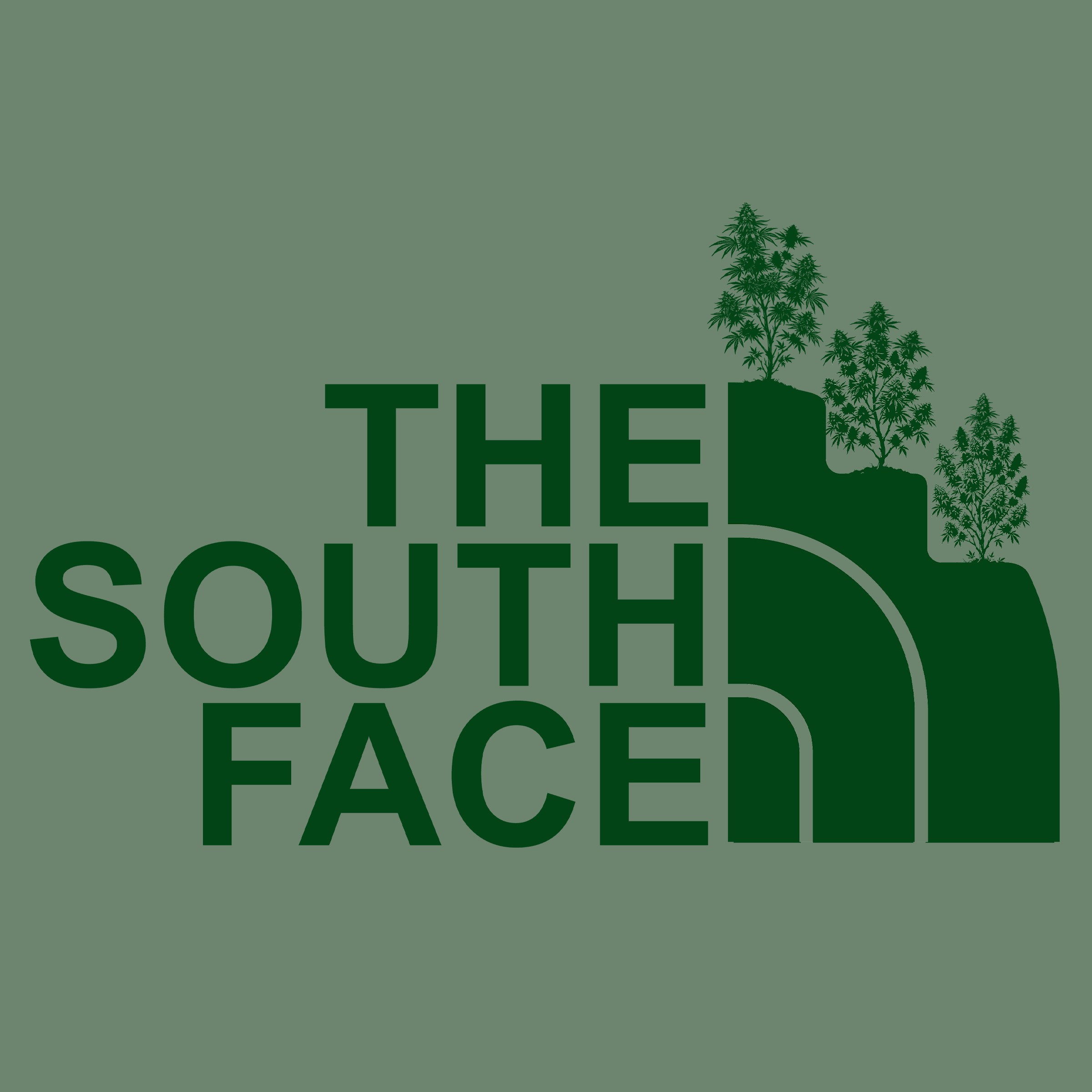 The South Face